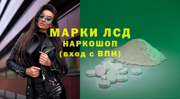 ПСИЛОЦИБИНОВЫЕ ГРИБЫ Белокуриха
