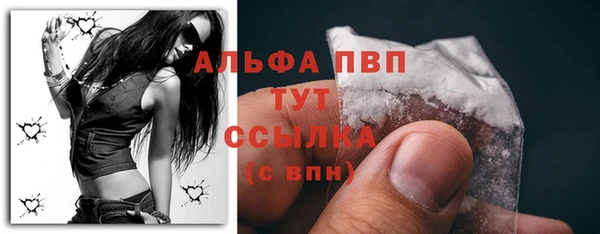 ПСИЛОЦИБИНОВЫЕ ГРИБЫ Белокуриха