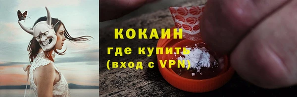 ПСИЛОЦИБИНОВЫЕ ГРИБЫ Белокуриха