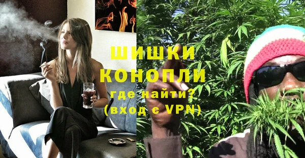 ПСИЛОЦИБИНОВЫЕ ГРИБЫ Белокуриха
