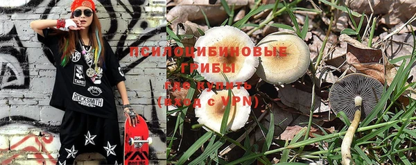 ПСИЛОЦИБИНОВЫЕ ГРИБЫ Белокуриха