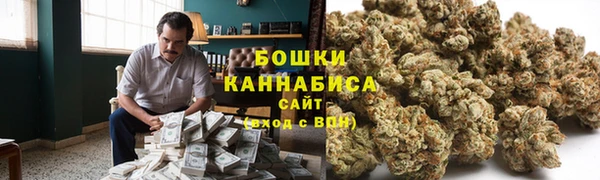 ПСИЛОЦИБИНОВЫЕ ГРИБЫ Белокуриха